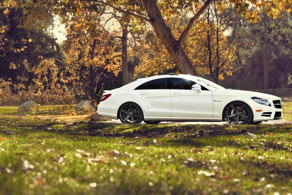 Weißer getunter Mercedes auf Waldhintergrund