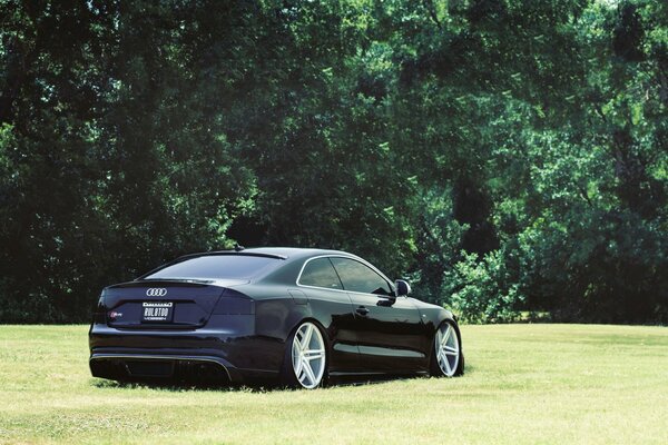 Very low black audi on green grass