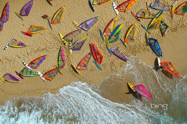 Viele bunte Segelbretter liegen am Ufer