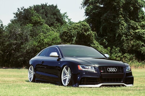 En un claro con hermosos árboles, un automóvil Audi s5 con discos