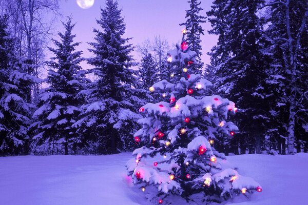 Decorated Christmas tree in the winter forest