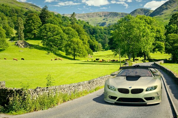 Voiture bmw sur la route sur fond de paysage pittoresque