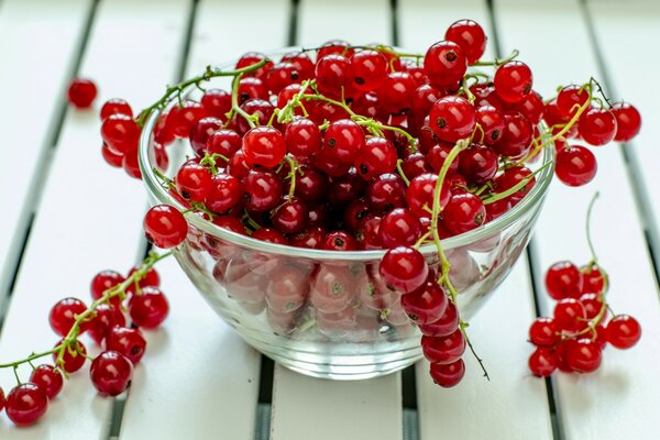 Red currant. Berries in a transparent plate