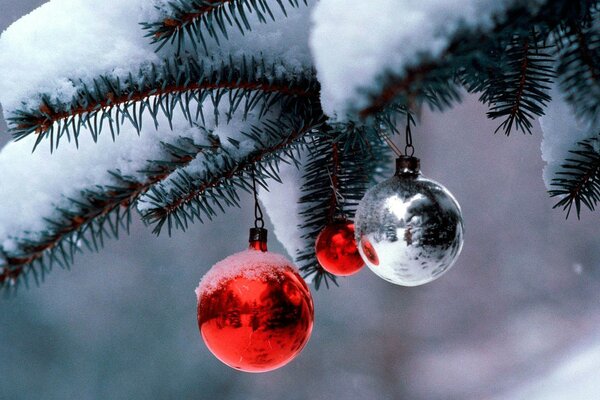 Bälle auf einem schneebedeckten Ast eines Weihnachtsbaumes