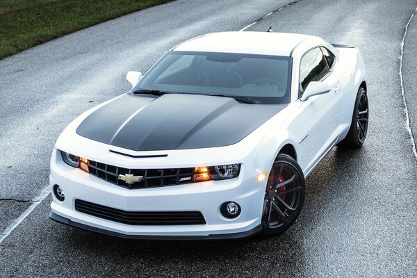 Voiture blanche Chevrolet Camaro sur la route