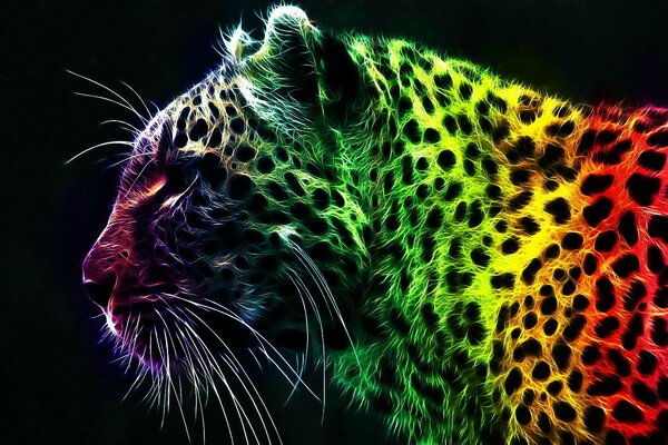 Tigre dans une coloration spectaculaire la nuit