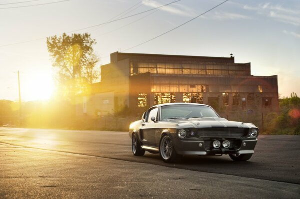 Silver Ford Shelby Eleanor gt500 en resplandor solar