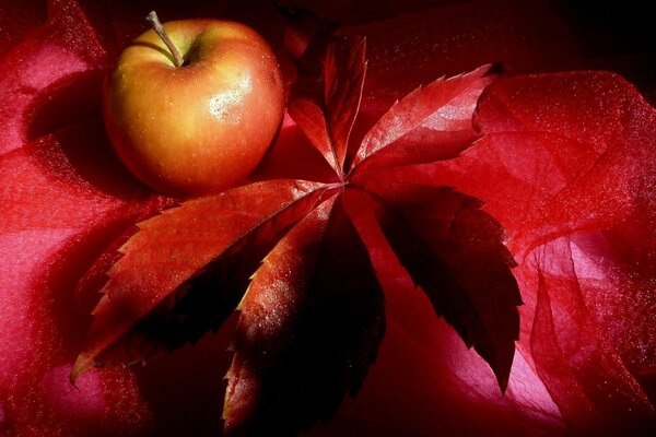 An apple and a red leaf on a scarlet background