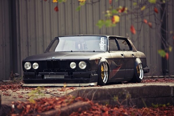 Black understated BMW in fallen leaves