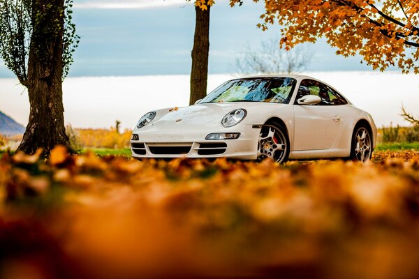 Weißer Porsche umgeben von Herbstlaub