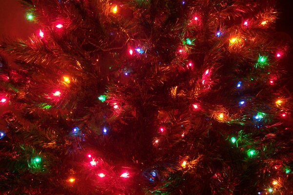 Christmas decoration. Garland with colorful lights