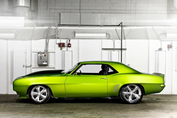 Voiture de couleur vert clair sur fond de mur blanc