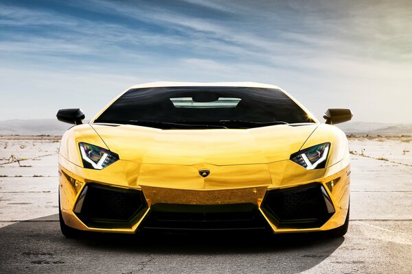 Stylish Lamborghini in a golden attitude by day