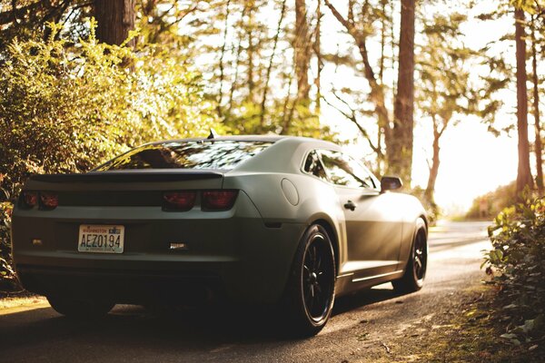 Czarny Chevrolet Camaro. Night Racer