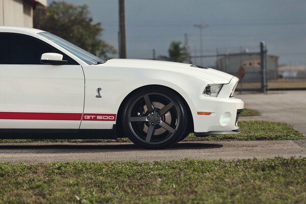 Ford mustnag gt500 blanco con rayas rojas en la carretera