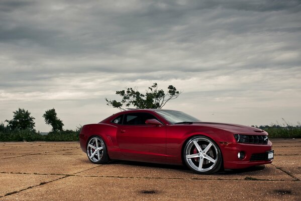 Chevrolet Camaro rojo en un terreno baldío