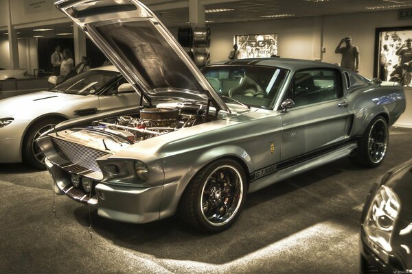 Silver mustang with open hood