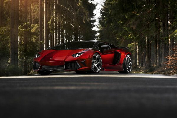 Crimson Lamborghini Aventador sur la route forestière