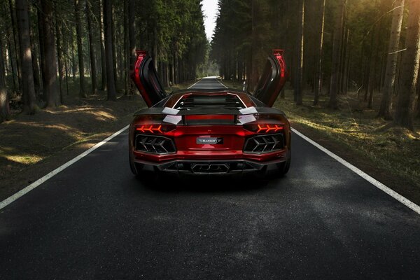 Lamborghini rouge avec portes surélevées. Sur la route dans la forêt