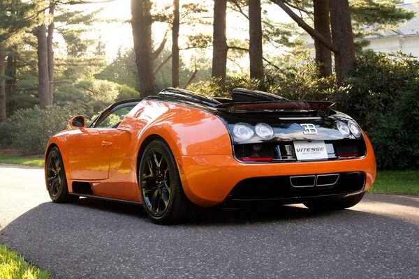 Sportwagen orange bugatti veyron vitess auf der Straße unter bäumen