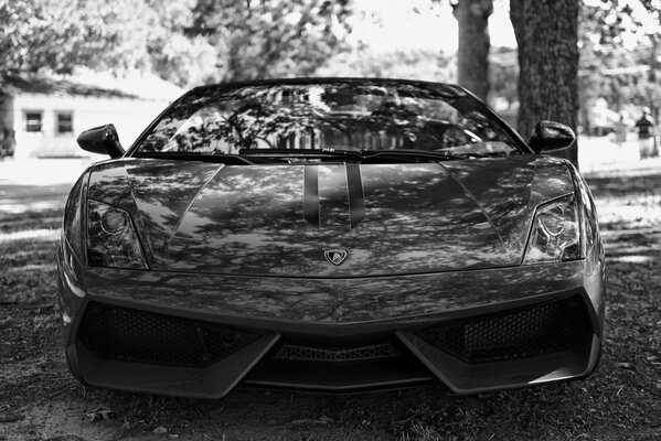 Supercar lamborghini gallardo in bianco e nero