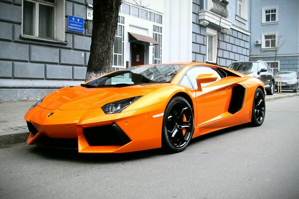 Orange Lamborghini aventador on the street