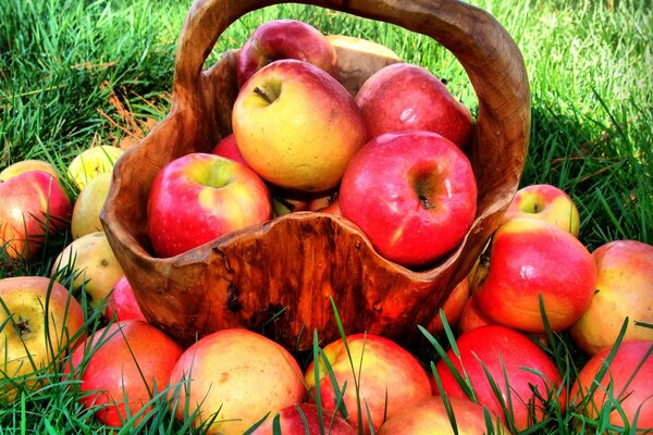 Harvest of ripe and juicy apples