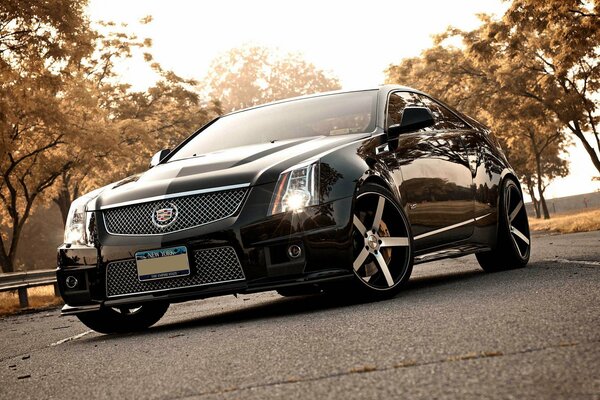 Frente a un Cadillac negro en la carretera detrás de los árboles