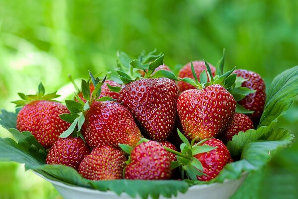 Fresas maduras en un plato sobre un fondo verde