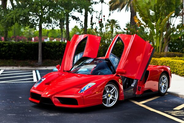 Ferrari rojo Enzo en el estacionamiento entre los árboles