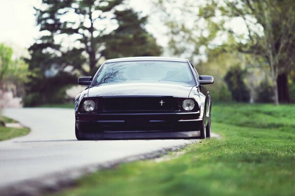 Una Ford Mustang sobria sulla strada