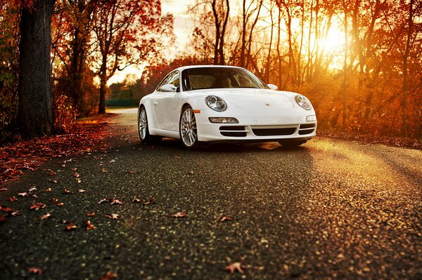 White Porsche Carrera in autumn on asphalt