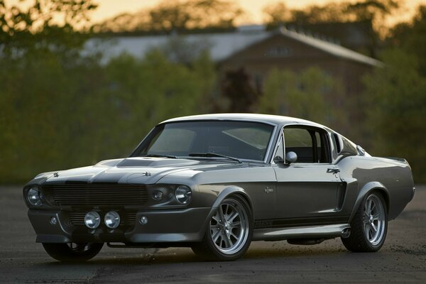 Voiture ford shelby gt 500 debout sur fond de coucher de soleil