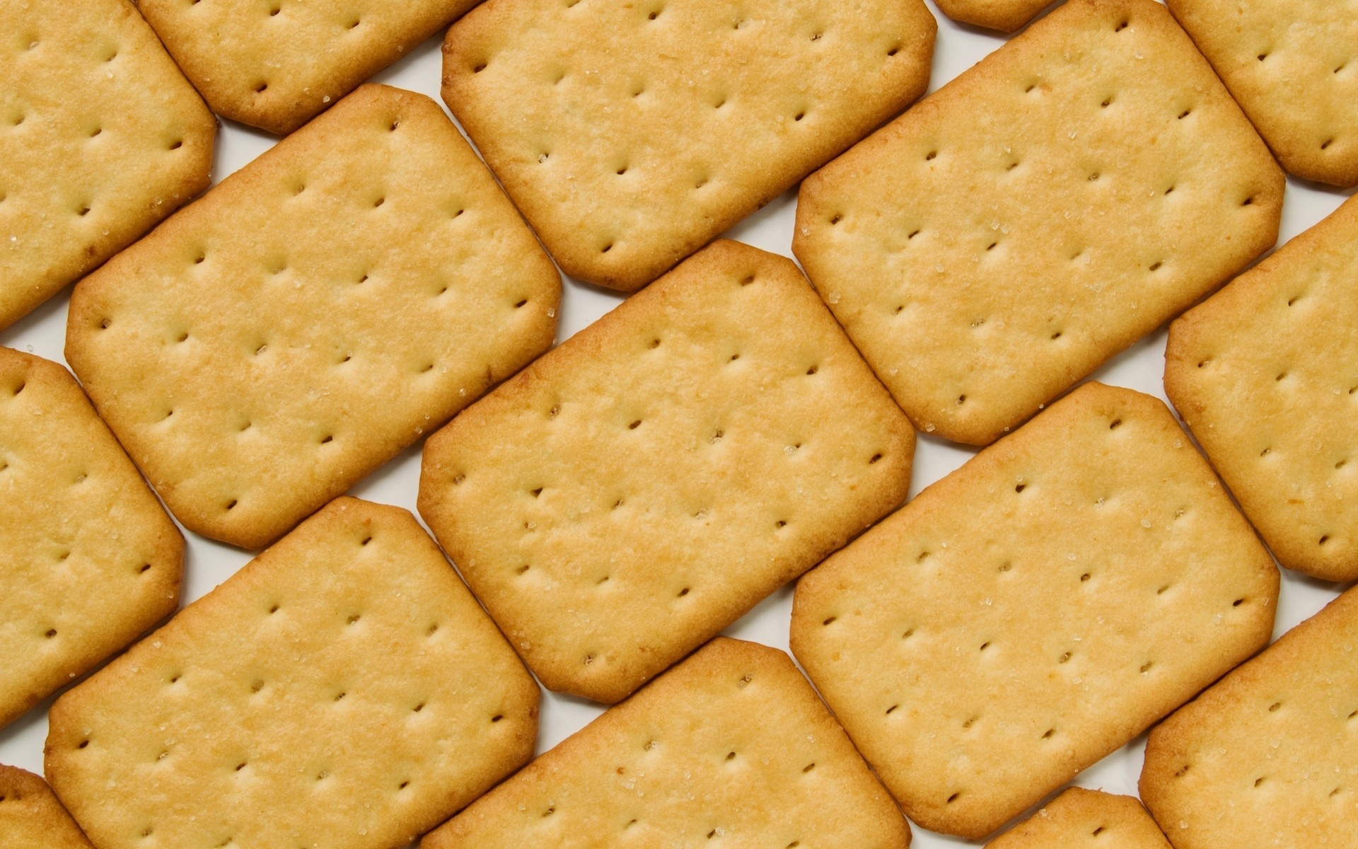 close up cookies white background