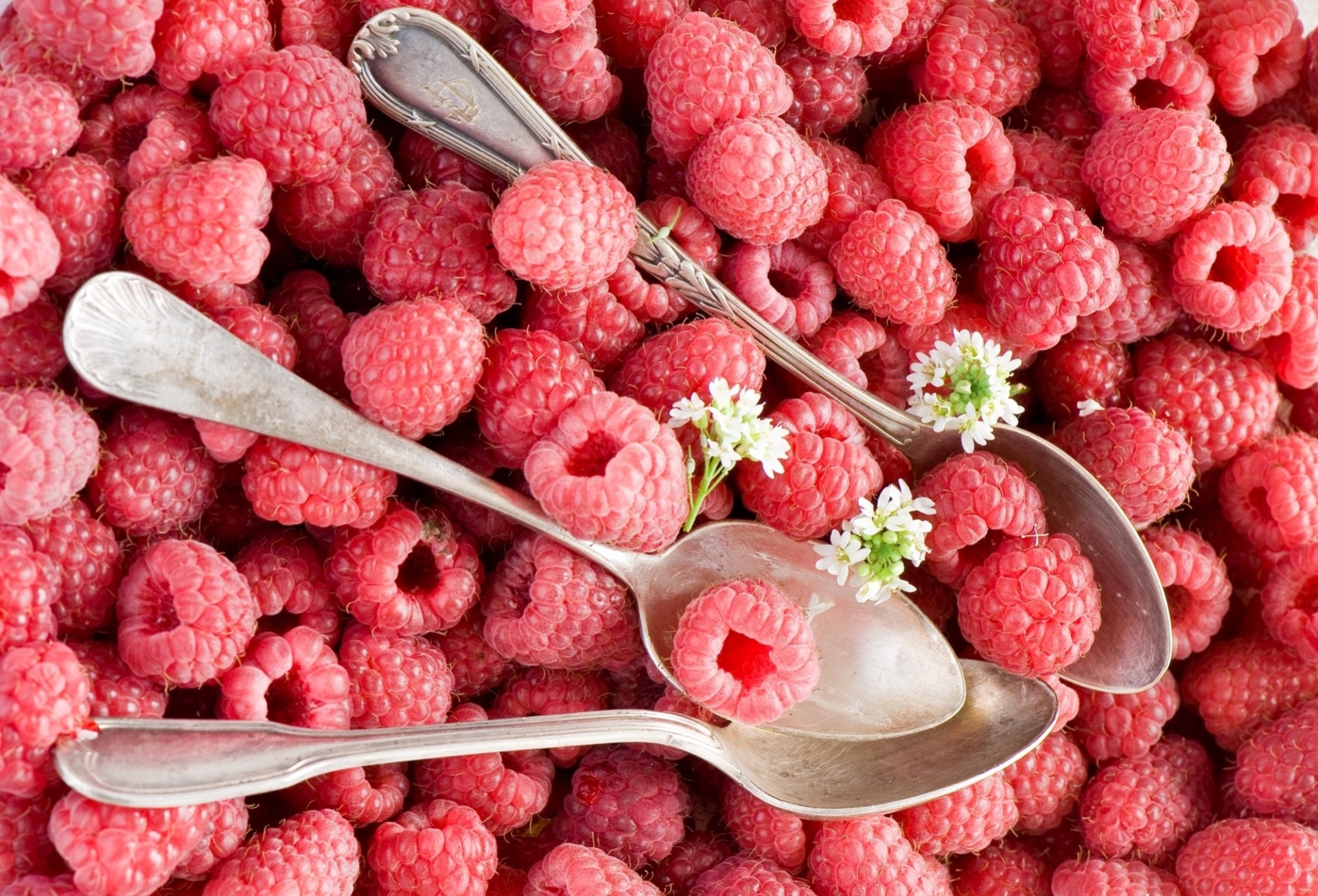 baies framboises fleurs cuillères