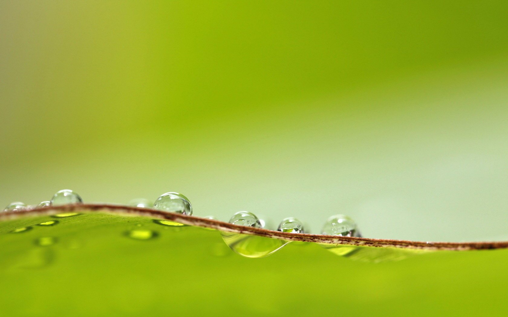 color macro drops background