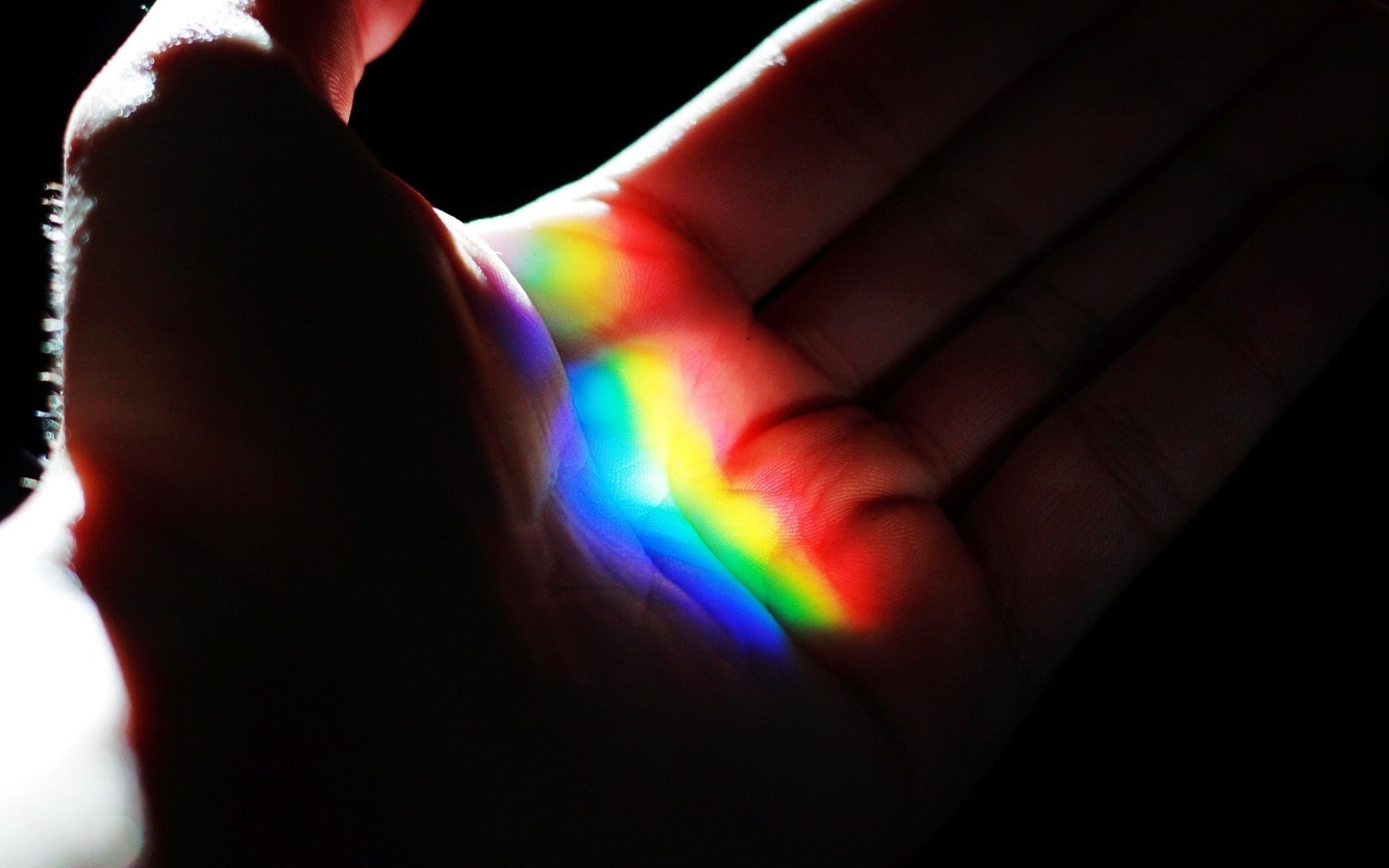 hand macro rainbow palm