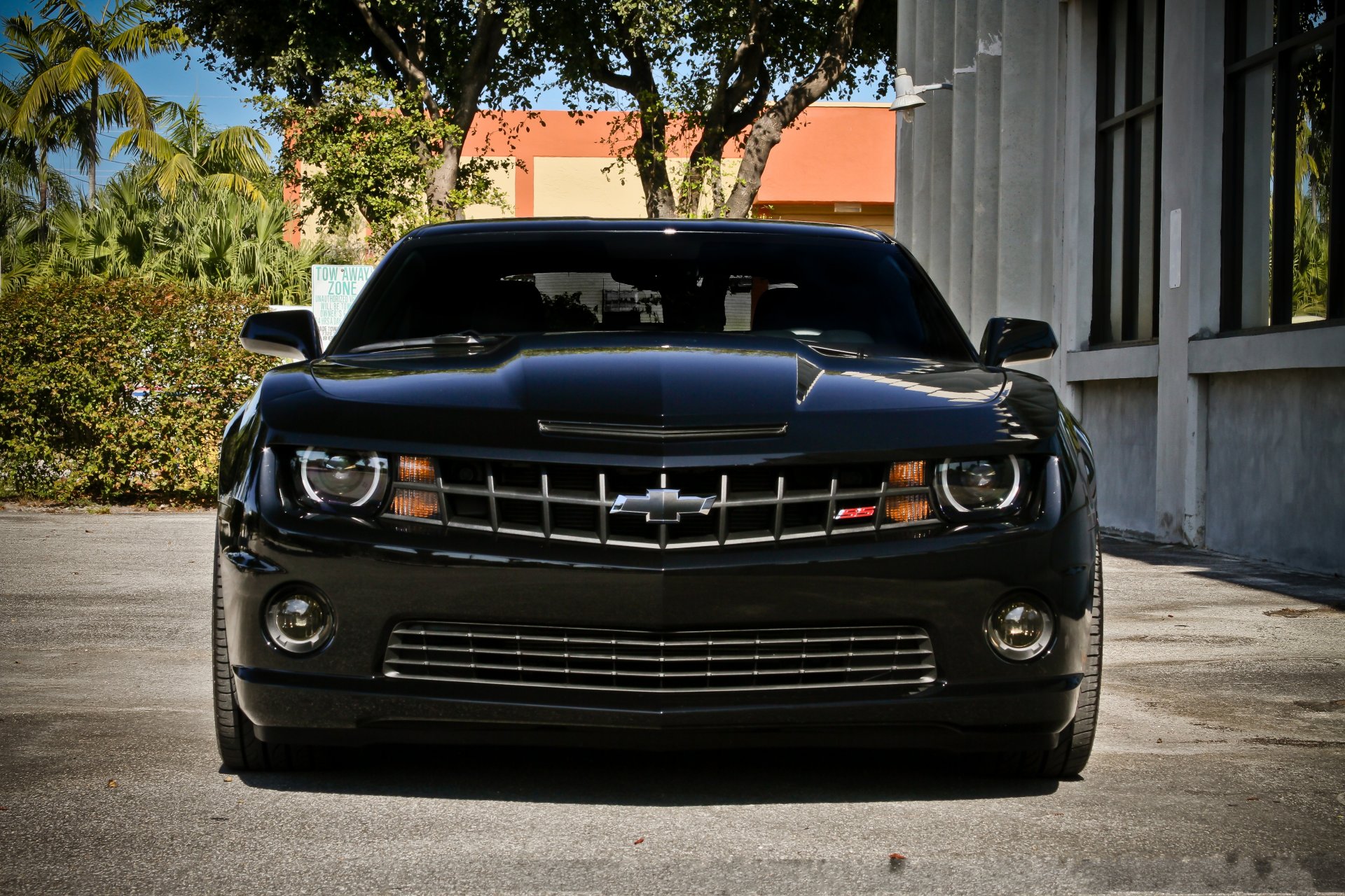 chevrolet camaro ss black street chevrolet camaro ss tinting building windows sky trees shrubbery