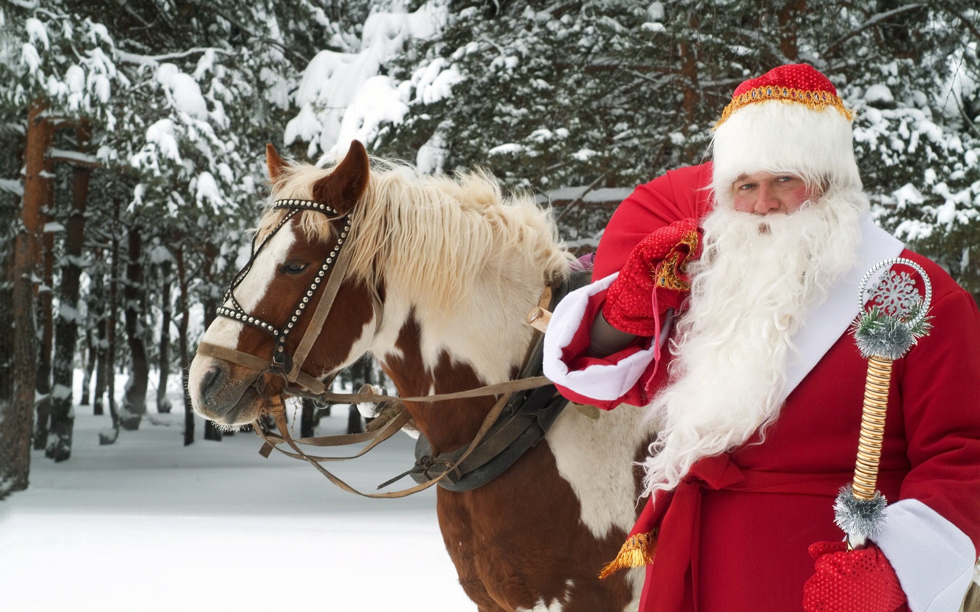 weihnachtsmann winter urlaub neujahr pferd großer ustjug