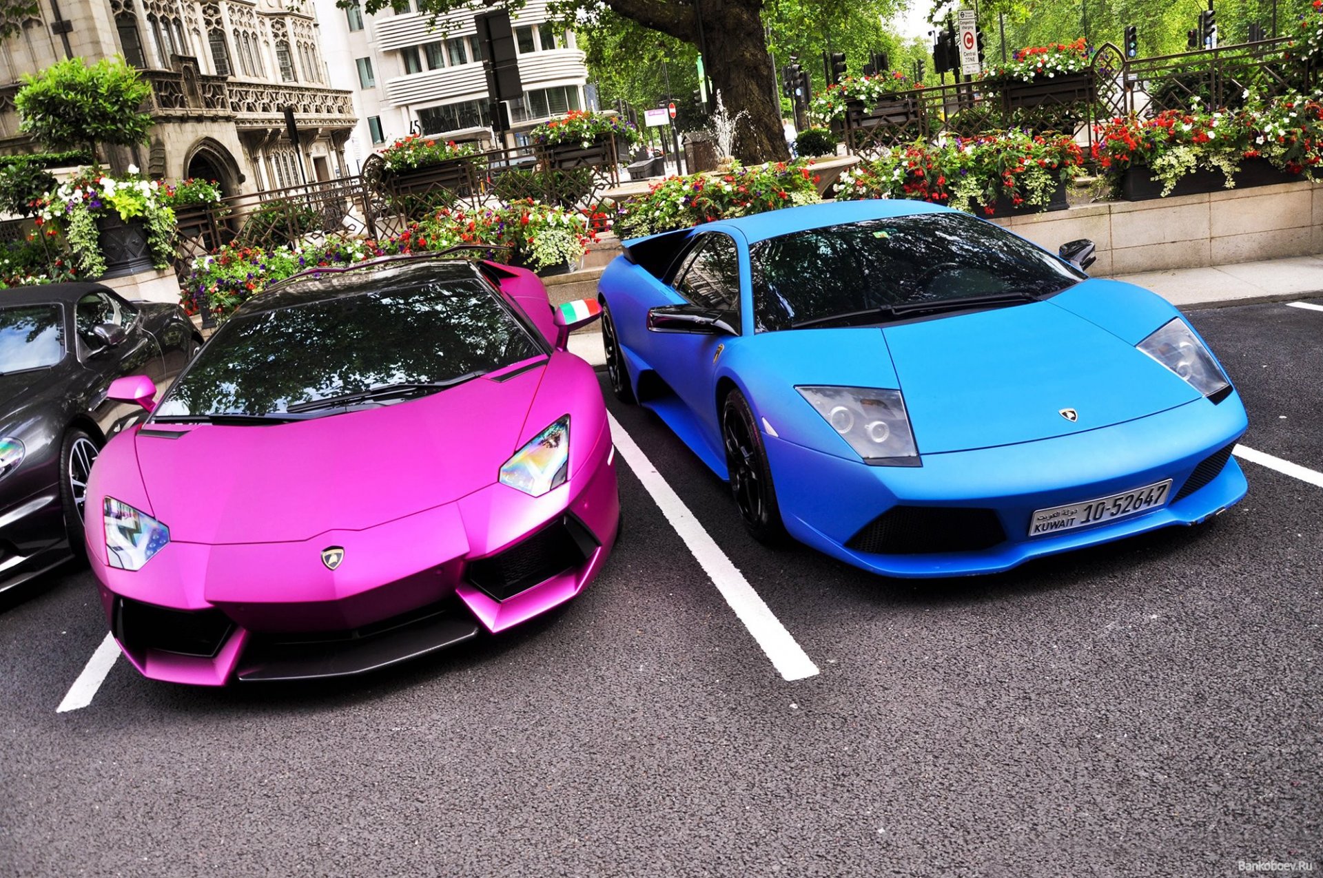 aventador lp700 - 4 lamborghini murcielago lp640 lamborghini supersamochody laski laski