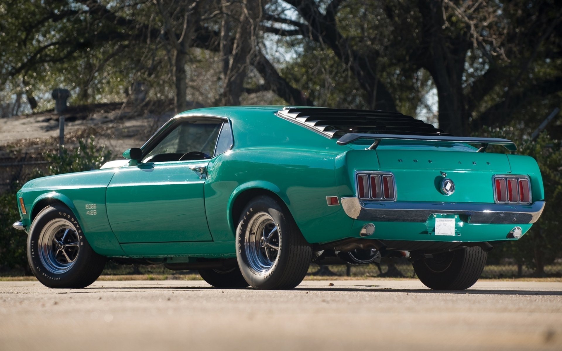 ford mustang boss 1970 rear view muscle car classic tree