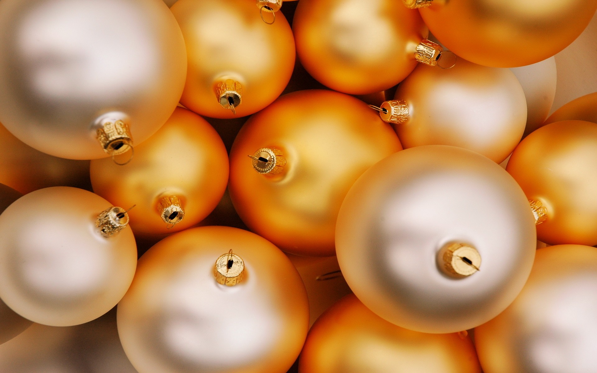 bulbs holiday new year golden