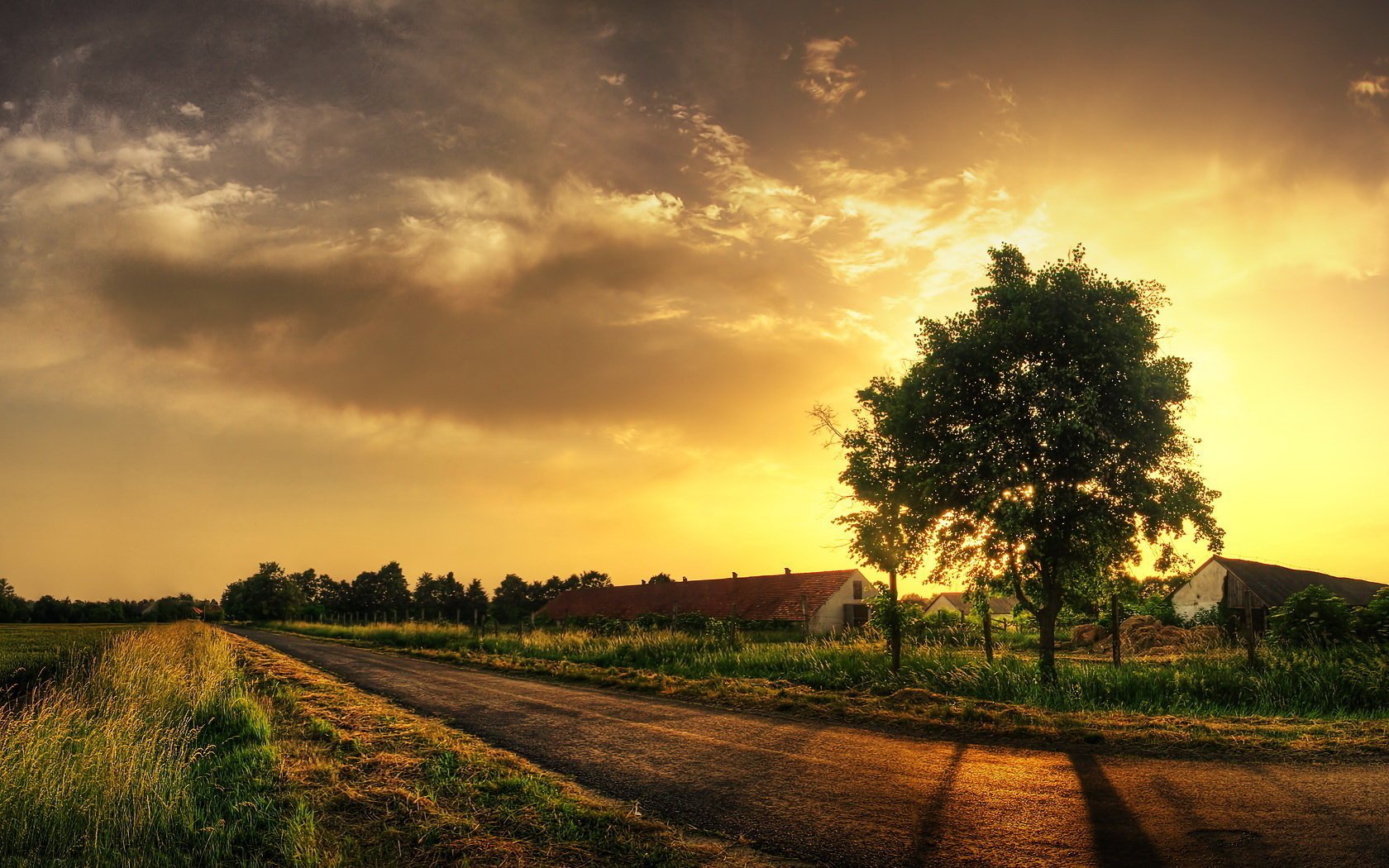 coucher de soleil maison route arbres