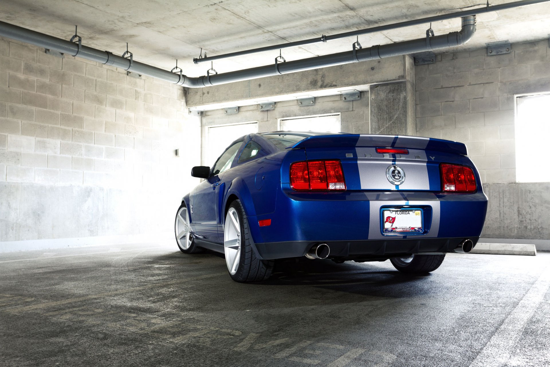 ford mustang gt500 shelby auto auto