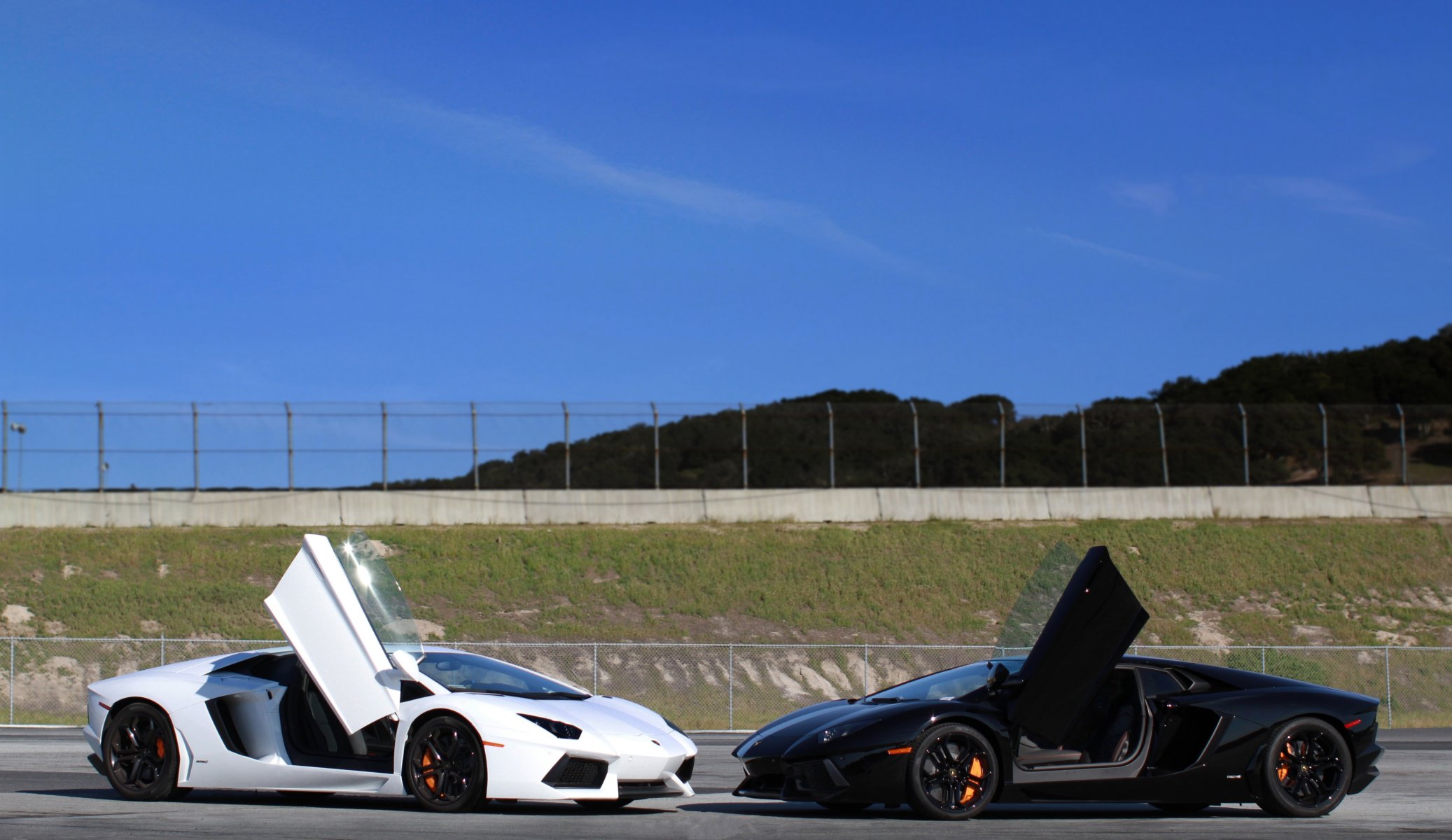 lamborghini aventador lp700-4 weiß schwarz lamborghini aventador rot türen nilotina himmel