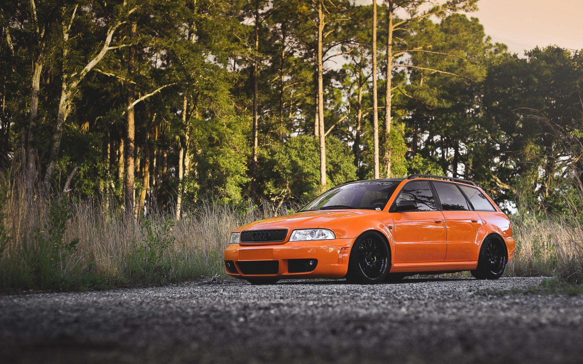 audi rs4 tuning audi estate tree forest