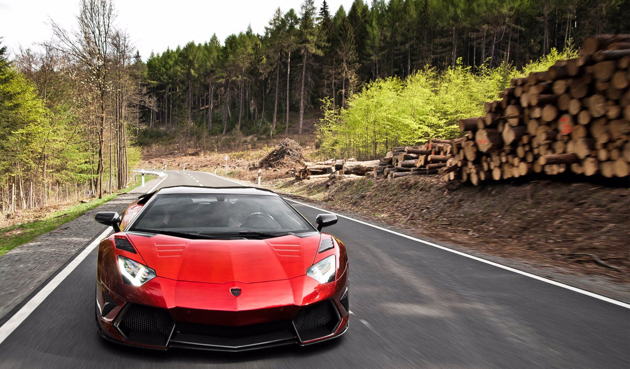 lamborghini aventador mansory lamborghini aventador mansory verkehr straße asphalt wald kiefern baumstämme