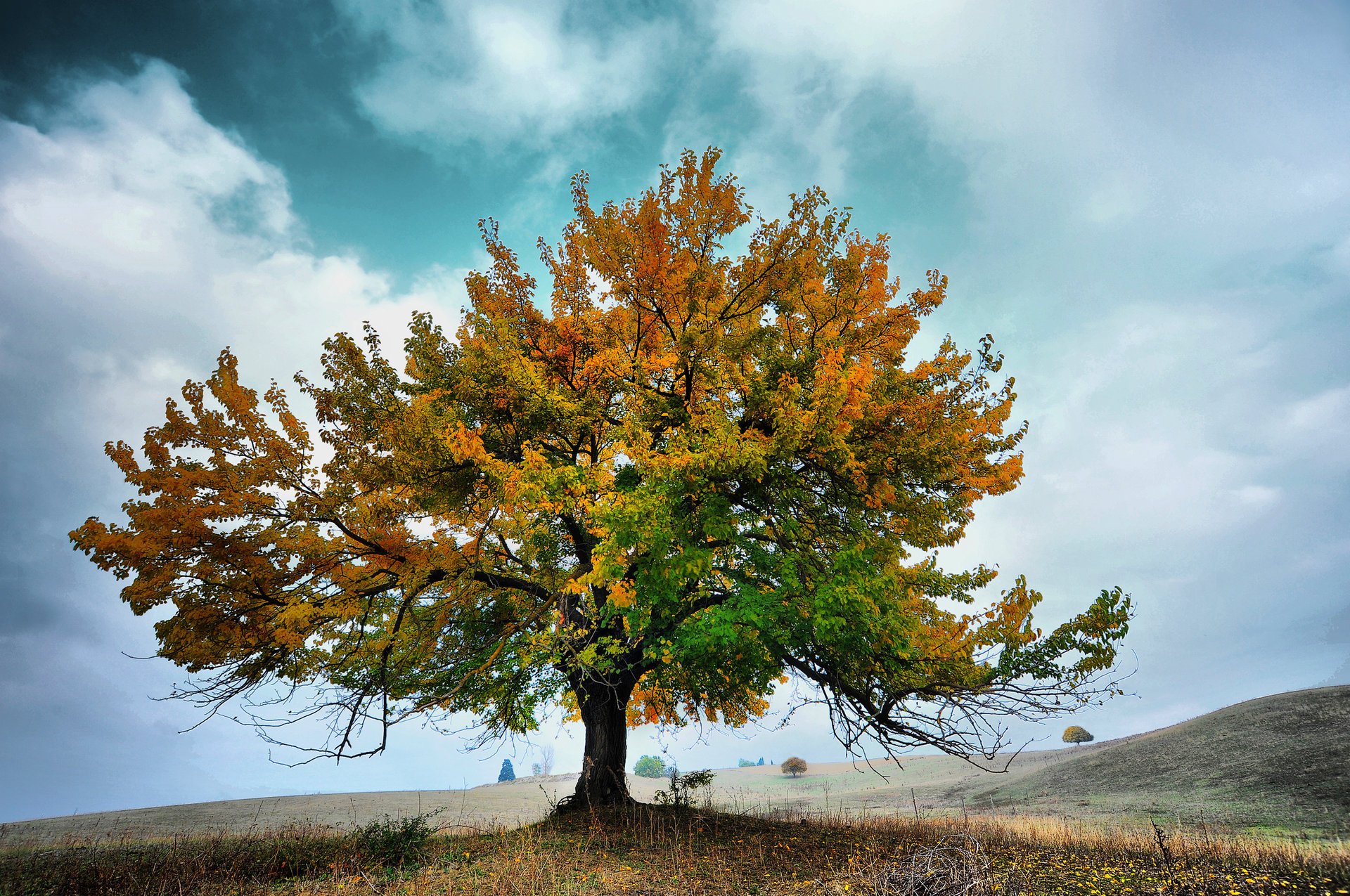 nubes cielo otoño naturaleza árbol