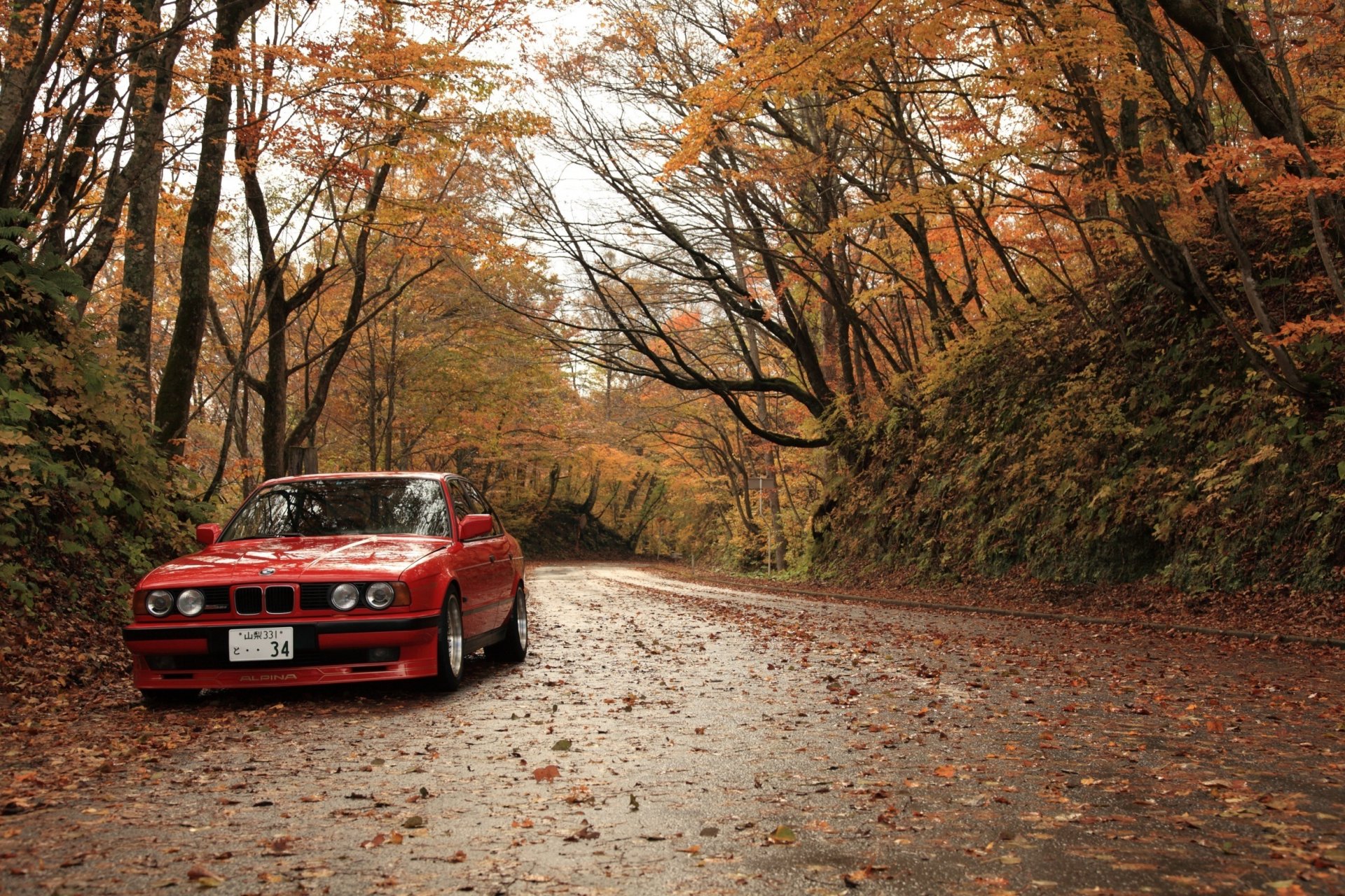 bmw . rosso bmw autunno foglie