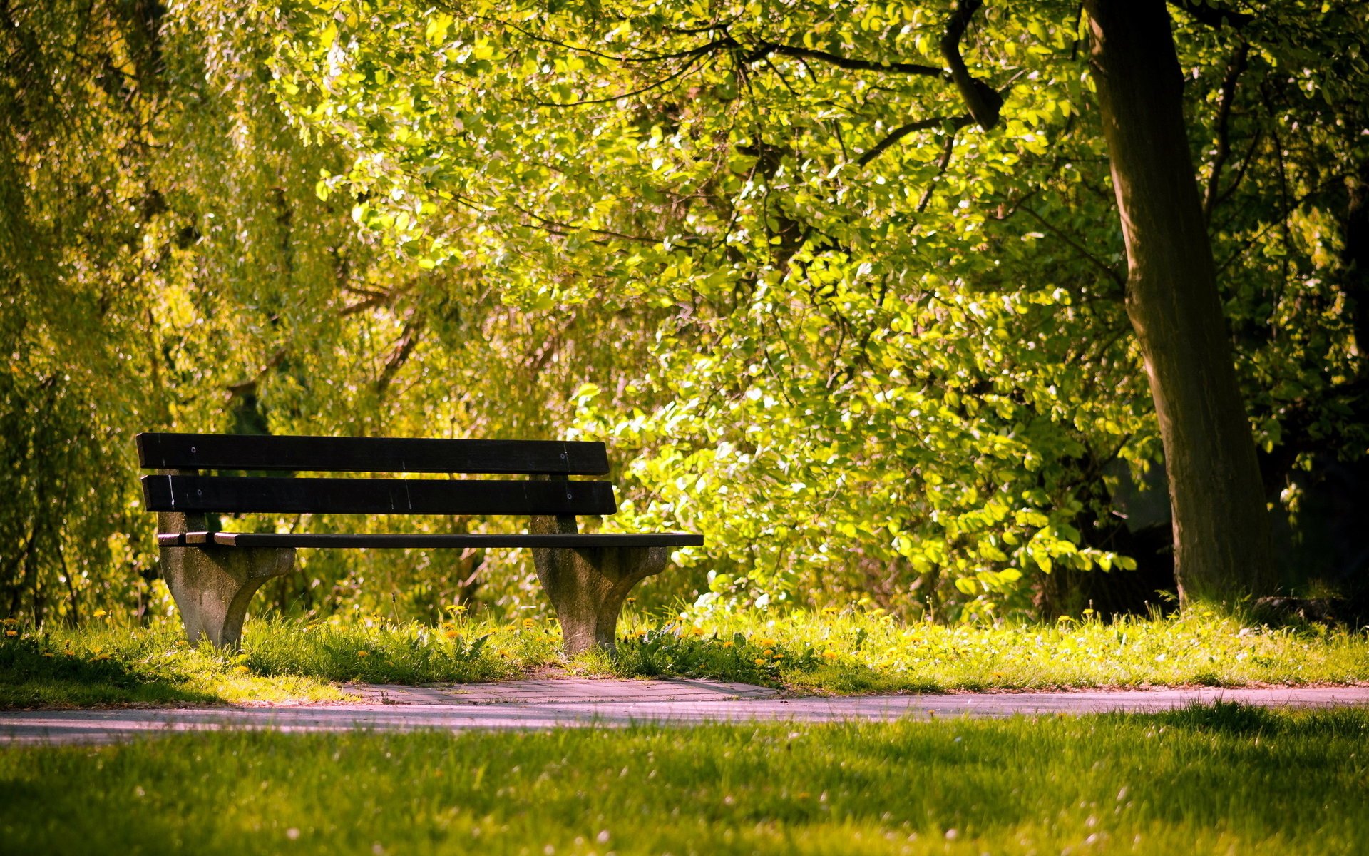 verano banco parque